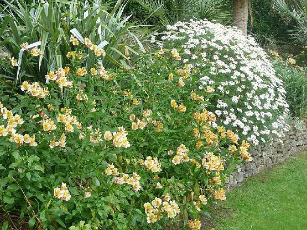 130 Ile de Batz Jardin Georges Delaselle_000003.jpg